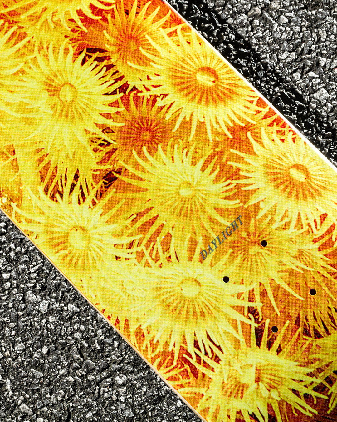 Zoanthid Deck