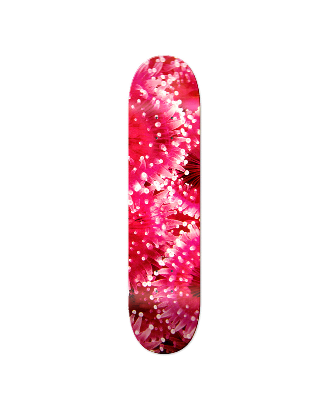 Jewel Deck